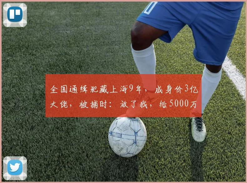 全国通缉犯藏上海9年,成身价3亿大佬,被捕时:放了我,给5000万
